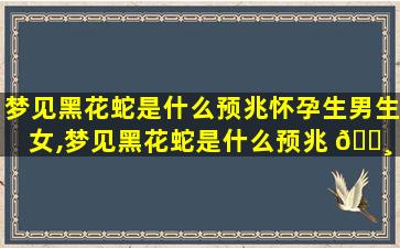 梦见黑花蛇是什么预兆怀孕生男生女,梦见黑花蛇是什么预兆 🌸 怀孕生男生女了